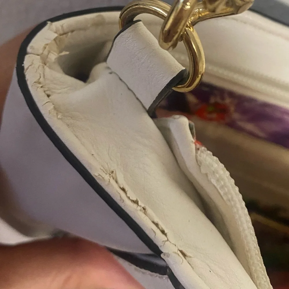 Aldo cross body